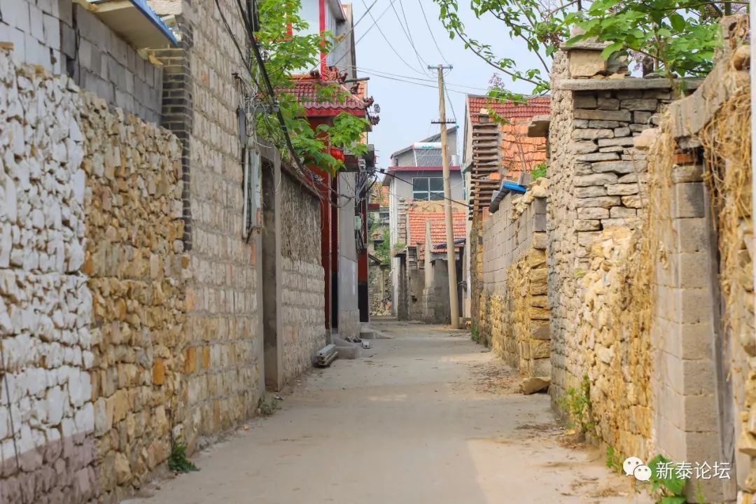 大美新泰—汶南镇西鲁村