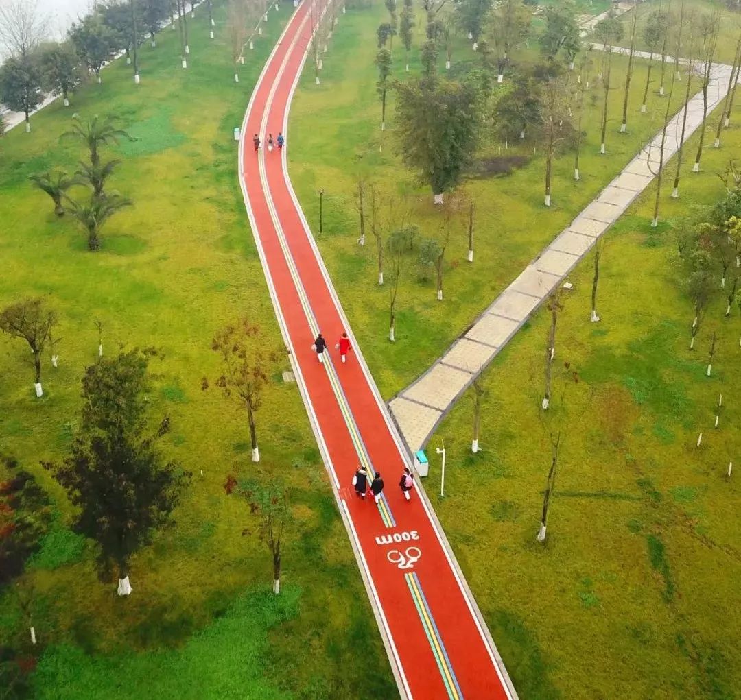 河湿地绿道一条条绿道串起了成都的诗意山水公园城市如何让生活更美好