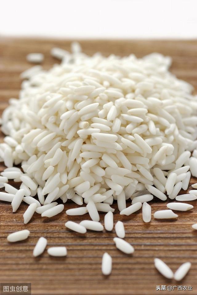 广西日报:广西特色农产品品牌故事(防城港篇)——上思香糯香喷喷