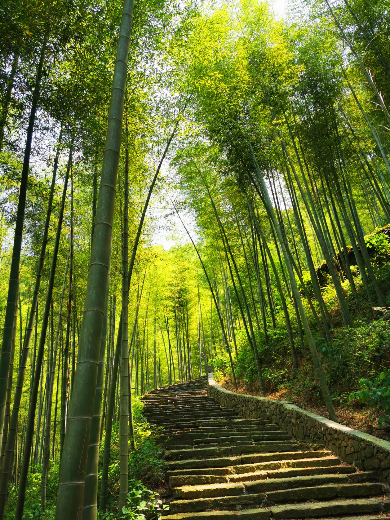 杭州有座寺庙与灵隐法华并称杭州城郊三大寺就在小和山上