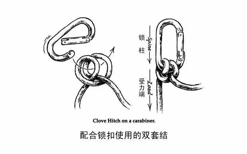 13种实(装)用(逼)绳结技术,请收下!_丁香结