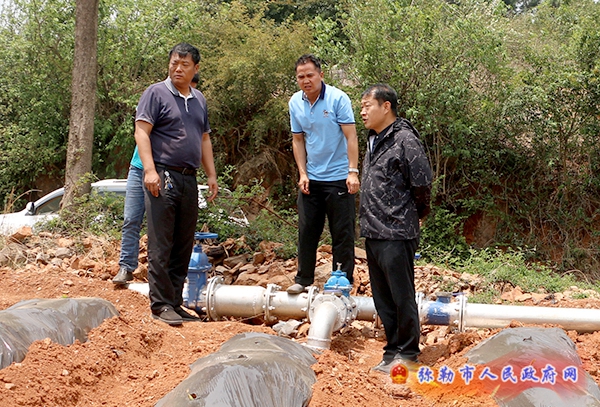 副市长邱云春到东山镇调研