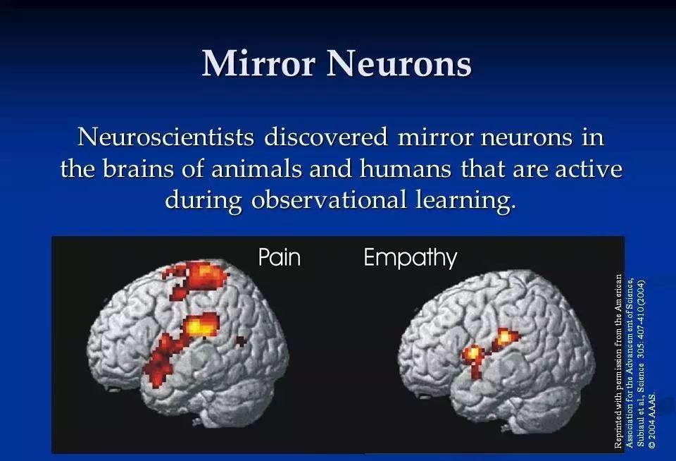 为什么大多偏爱老二?原来根源在这里