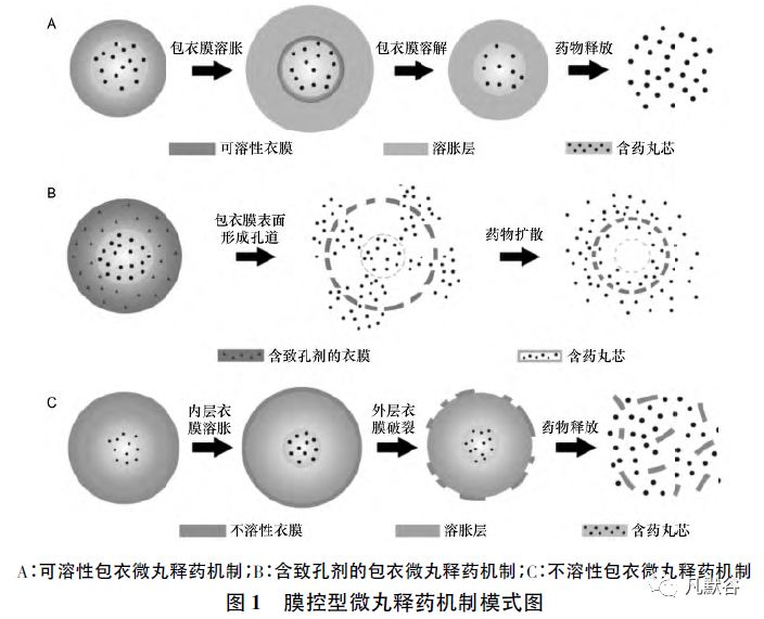 緩控釋微丸釋藥速率影響因素的研究與應用