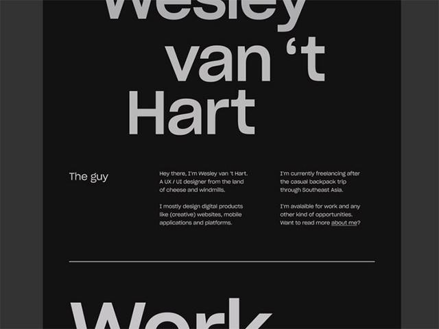 一组简单有范的黑白色调网页设计