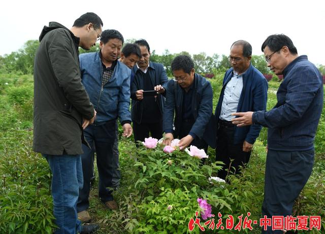 论坛上,河州牡丹书画院院长石广云向州紫斑牡丹研究会赠送了国画