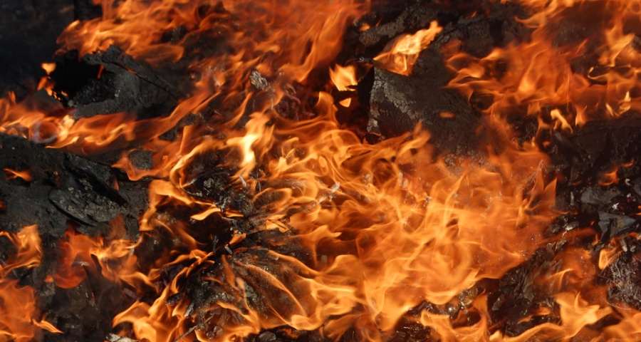 家电企业今年“打仗”，不能再盯着海尔美的格力等对手干-家电圈官网