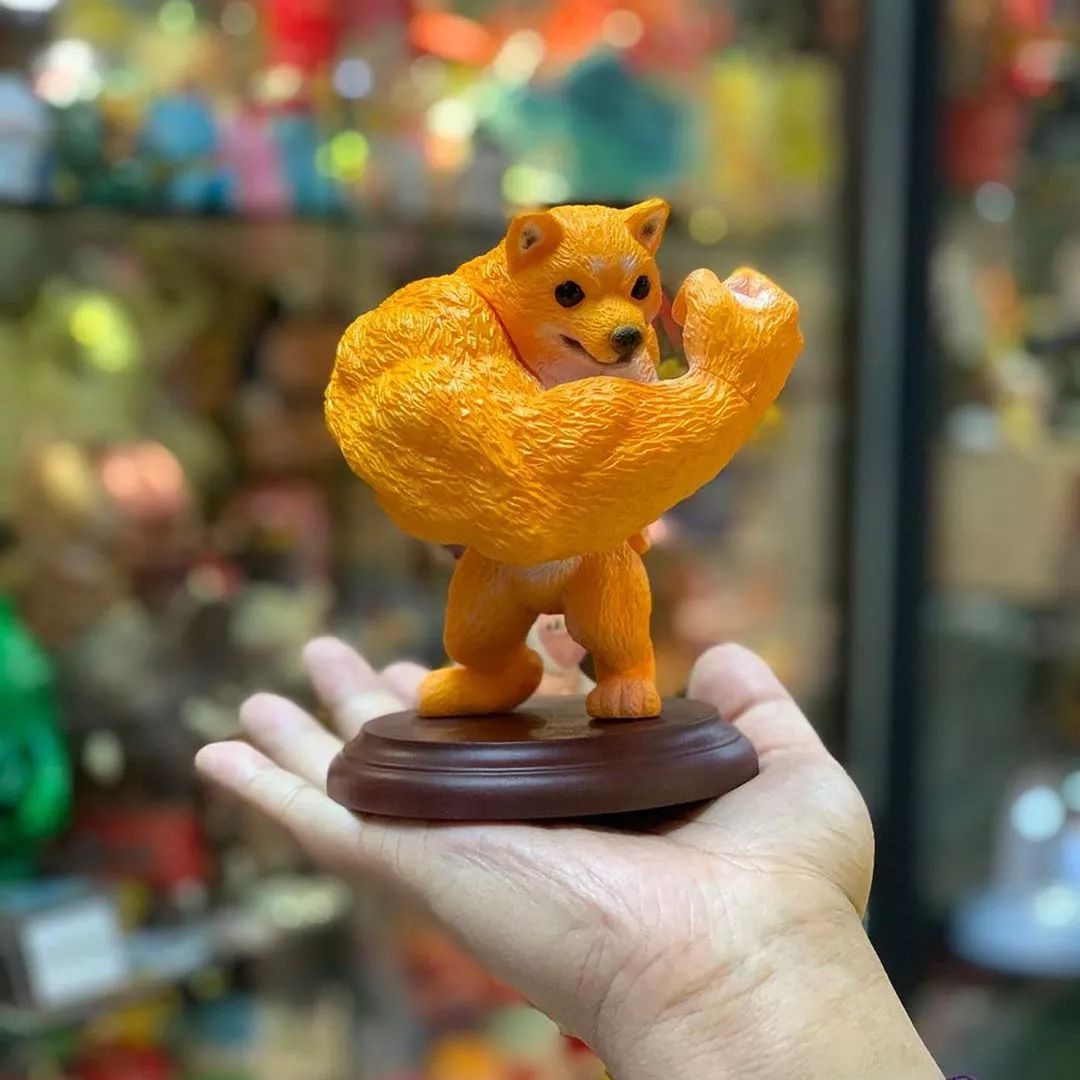 之前的肌肉柴犬,出模型了!哈哈哈!_狗狗