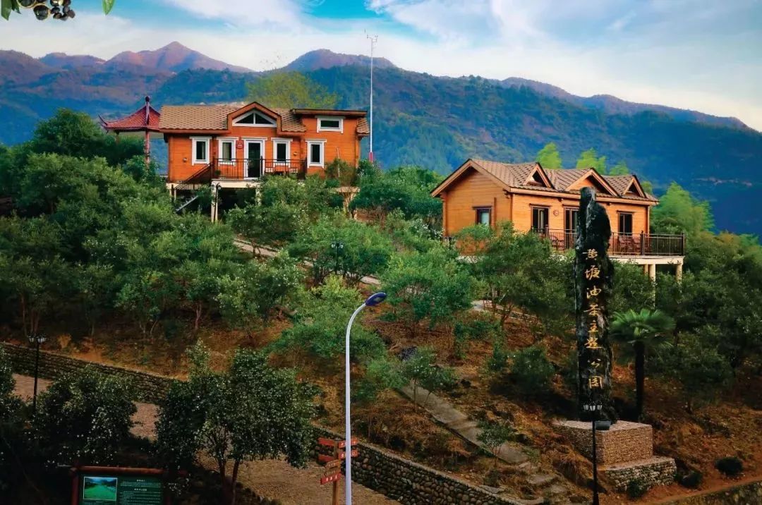 黄塘村廖红俊成为浙江省首批兴村(治社)名师_常山