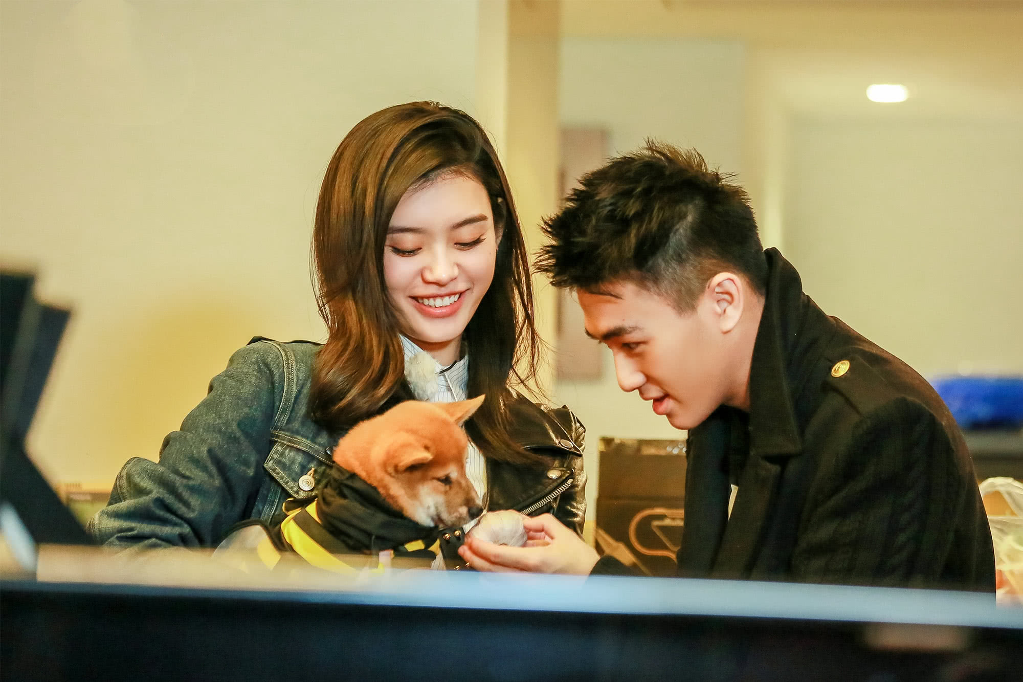 原创何猷君被曝向奚梦瑶求婚清空三层楼买99999朵玫瑰布置