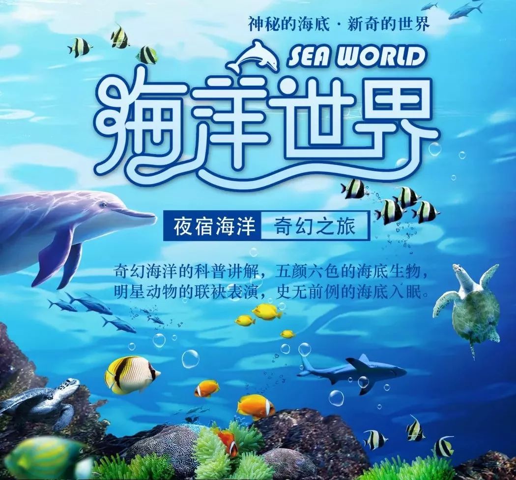 临沂海洋公园听起来就那么梦幻有趣!夜宿海洋馆?