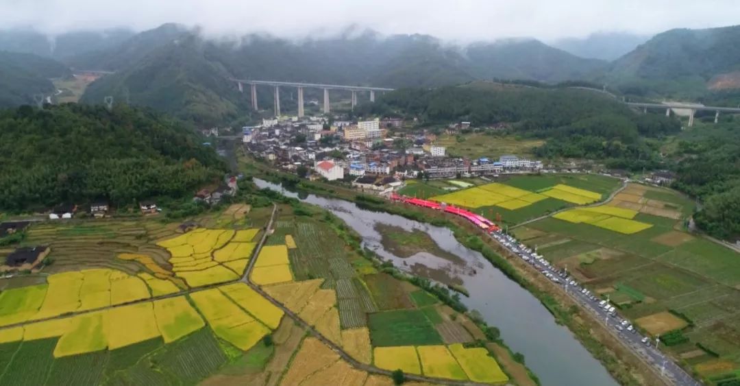 清理小广告,整洁大街道!巨口乡美丽行动掠影