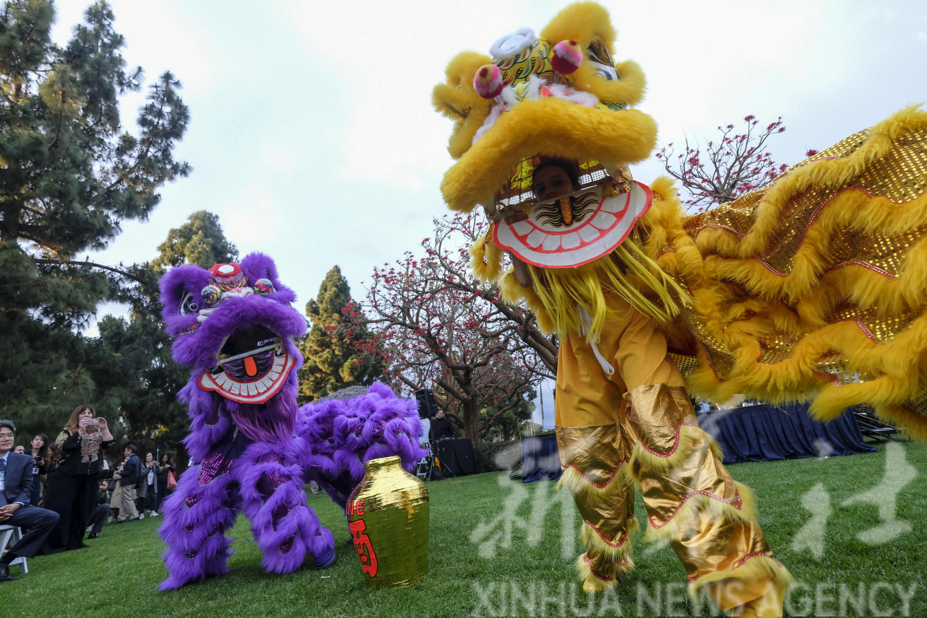 舞狮头壁纸图片