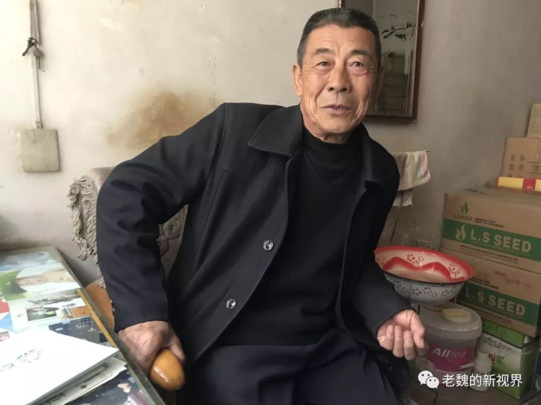 日本梨树专家与什川古梨园的故事(二)古梨园来了日本客人