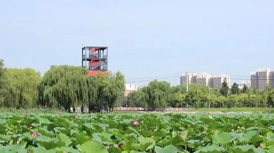 67lian上迁安来三里河生态走廊赏美景啦