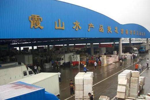 水产行业新趋势：宏康水产引领潮流