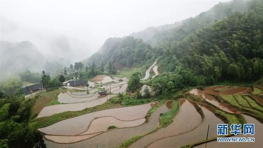 贵州赤水生态美