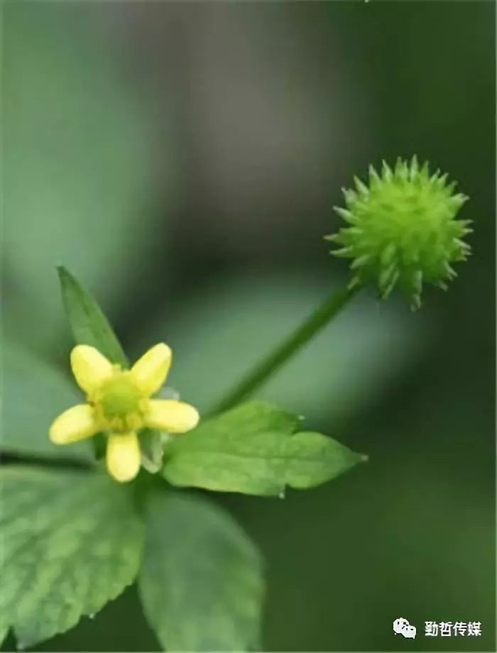 往後餘生放下執念淺笑安然