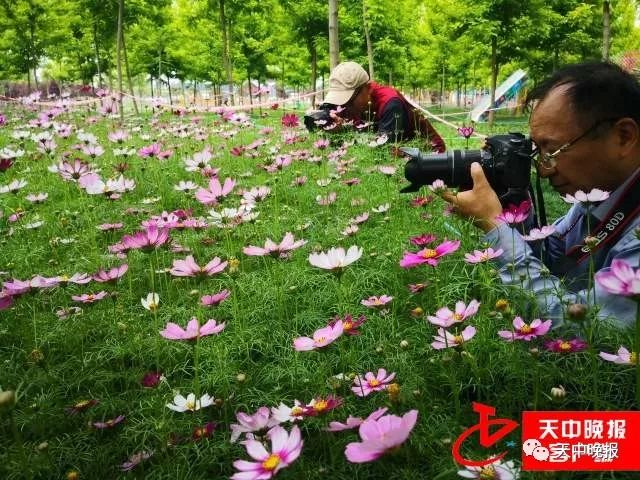 世外桃源觀賞地址遂平縣世外桃源世界那麼大錢包這麼小假期這麼少不