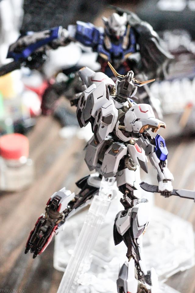 巴尔巴托斯合金骨架