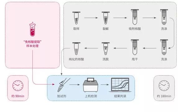 操作简单快速无需专门实验室结果更准确试剂开放3