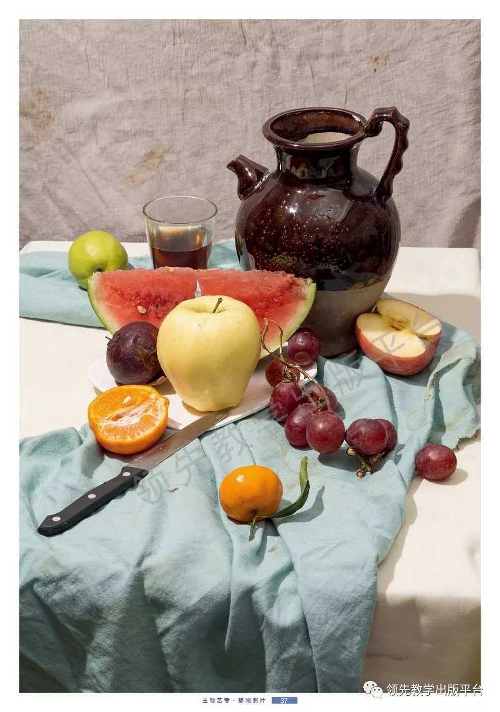 2019【主导艺考·色彩静物照片】震撼上市!