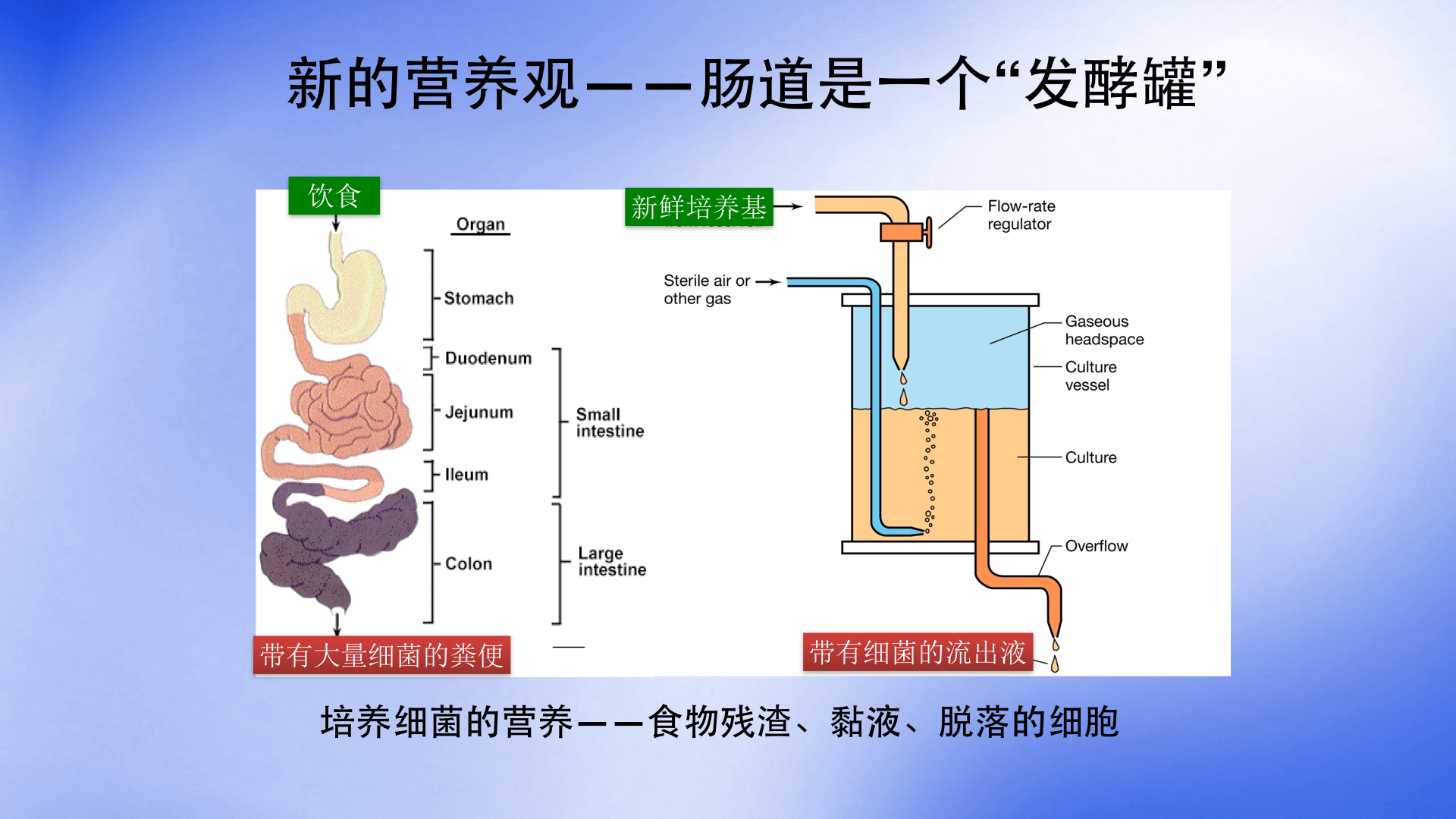 赵立平两年减肥23公斤肠道菌群与肥胖和糖尿病有什么关系