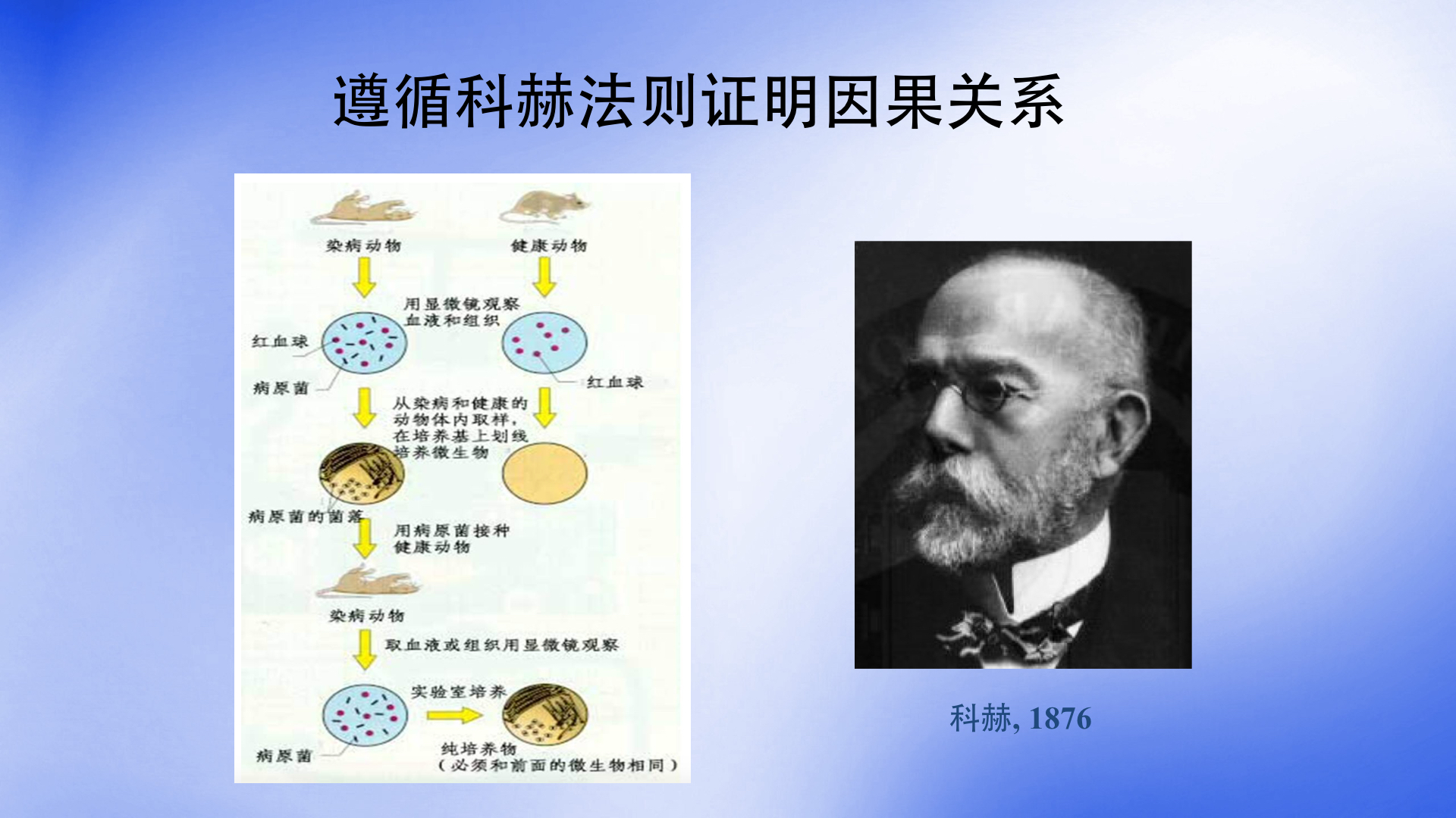 赵立平两年减肥23公斤肠道菌群与肥胖和糖尿病有什么关系