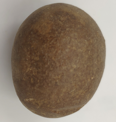 当属"羊宝"-珍稀中药材 价值连城_牛黄