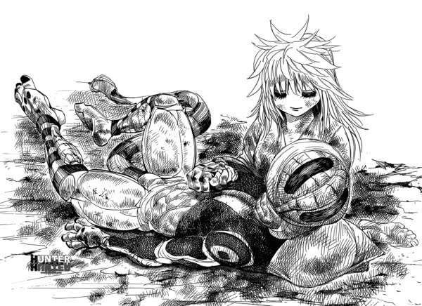 全职猎人作者想要表达的抱负网友隐藏这么深之前都没发现