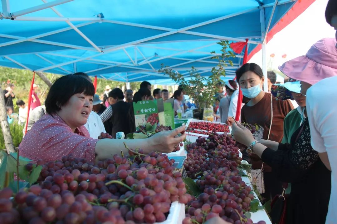 5月18日,2019临沂临港(厉家寨)樱桃文化节盛大开幕!