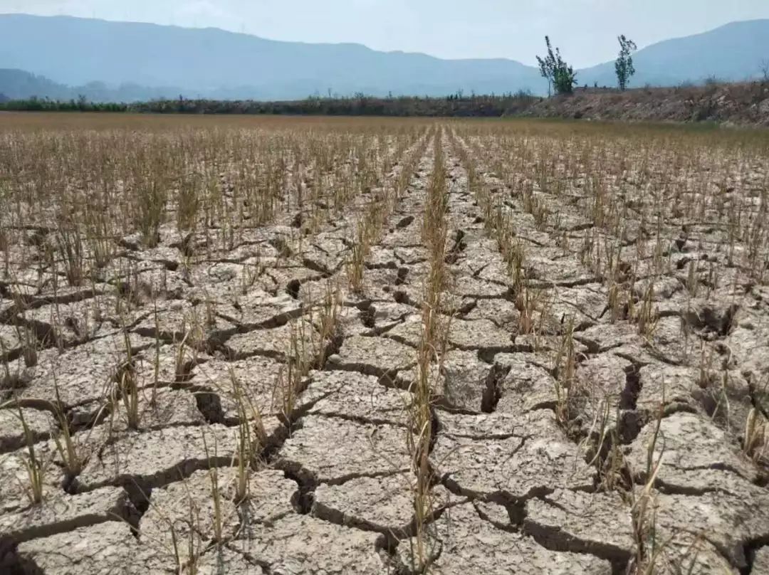 雲南全面進入燒烤模式啥時候能下雨昆明普洱等地部分地區出現特旱