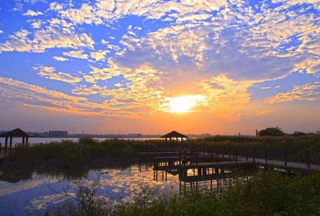 產業為名優現代漁業,產業園包括石樓鎮海鷗島(全省首批省級農業公園)