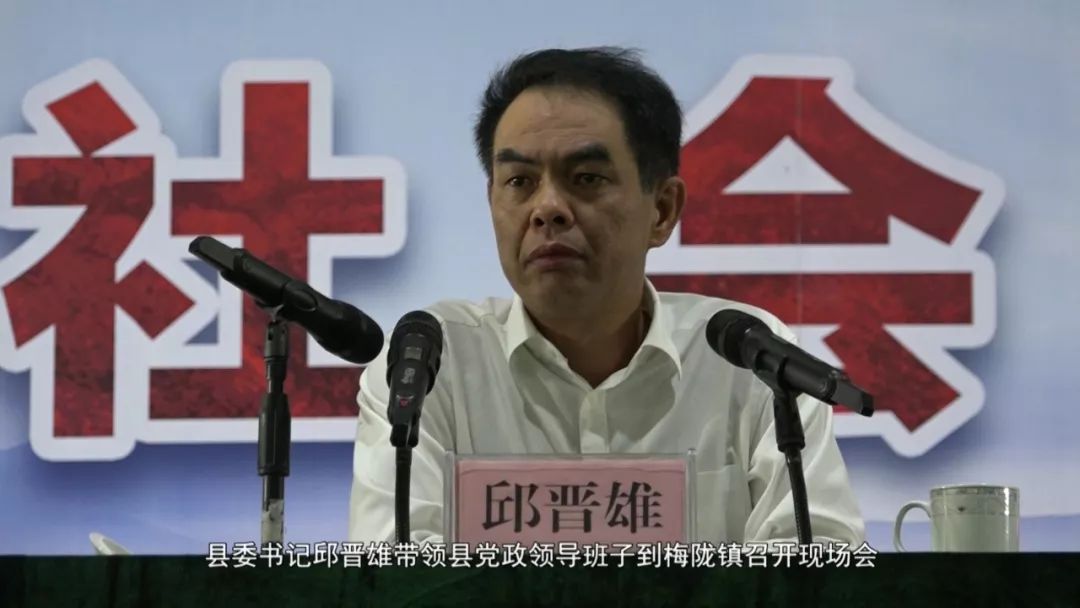海丰梅陇林某双涉黑社会性质组织覆灭记