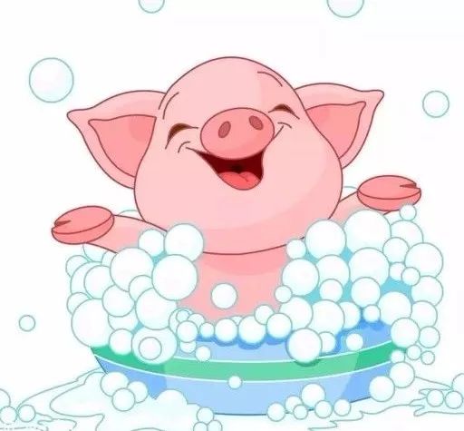 听| 童话故事58:不爱洗澡的小猪