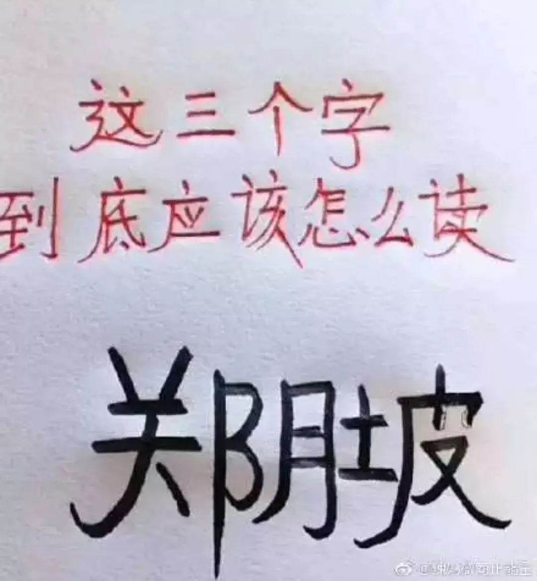 奇葩名字大集合笑到胃抽筋哈哈哈哈哈哈哈哈哈