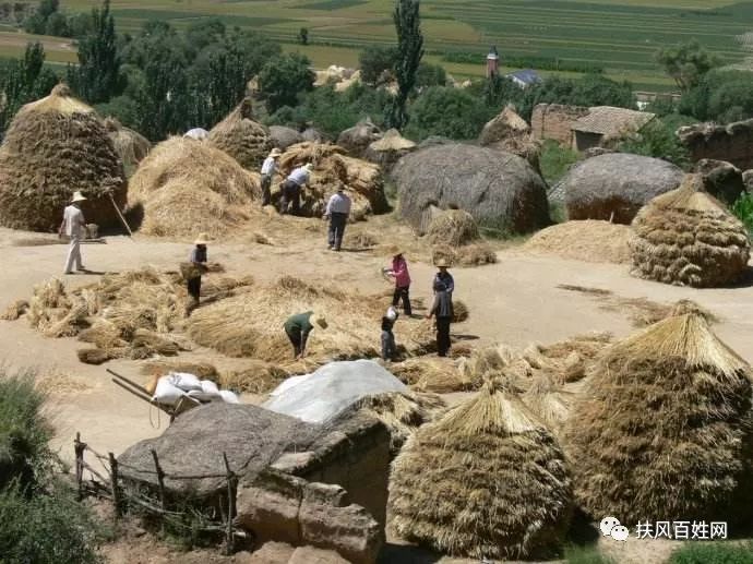 秦川 | 故乡的麦草垛