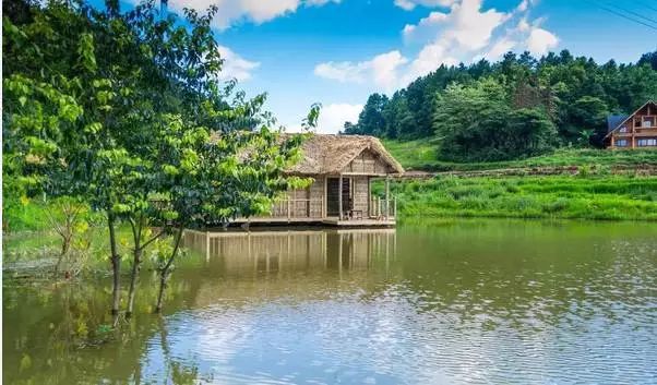 这个520我们相约巴南双寨山聆听天籁之音