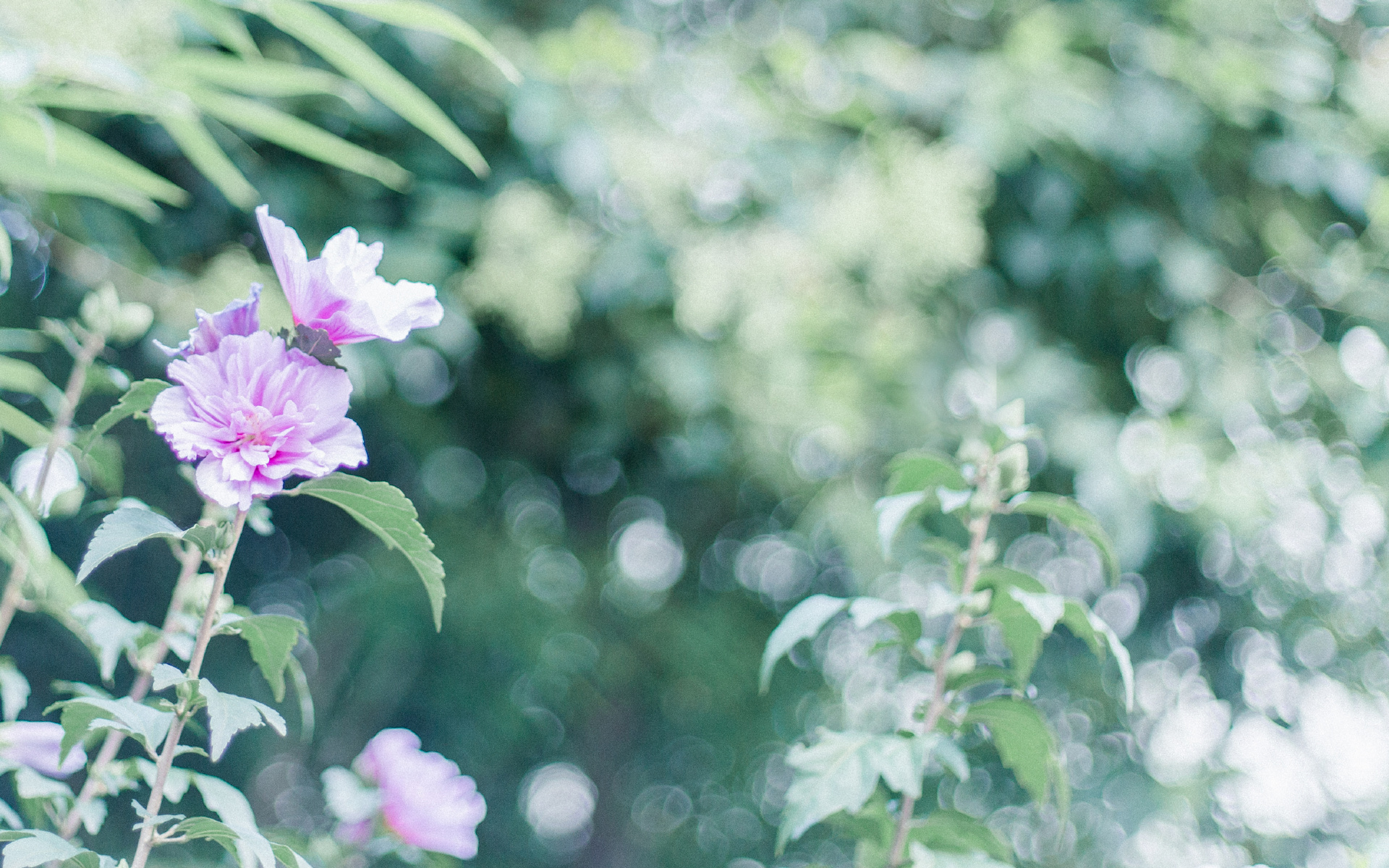 原创5月下旬这4大生肖翻身了有钱有势有贵人富贵指日可待