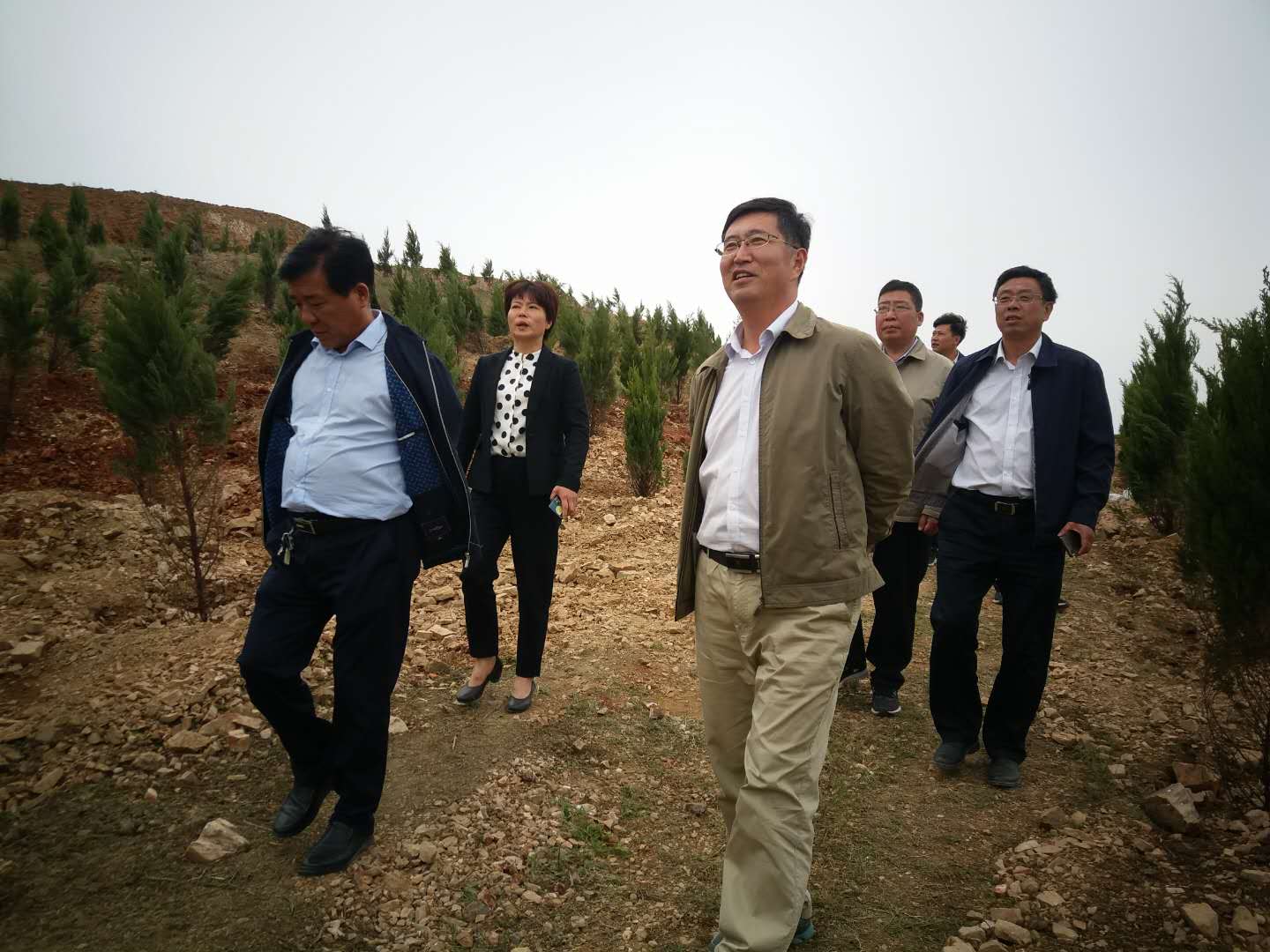 泌阳县郭集镇生态修复显成效