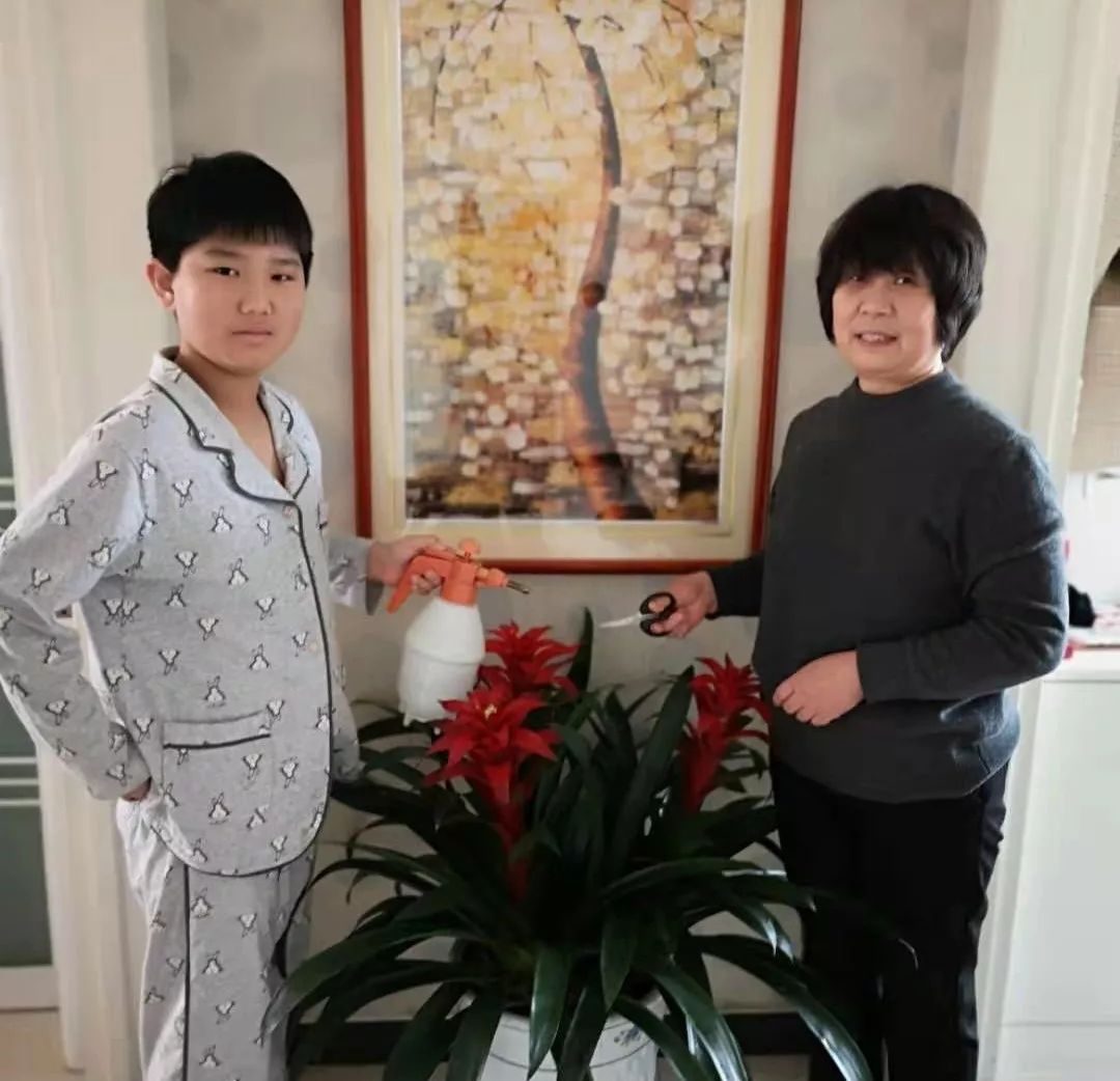 刚刚宁晋一家庭荣获河北省最美家庭称号