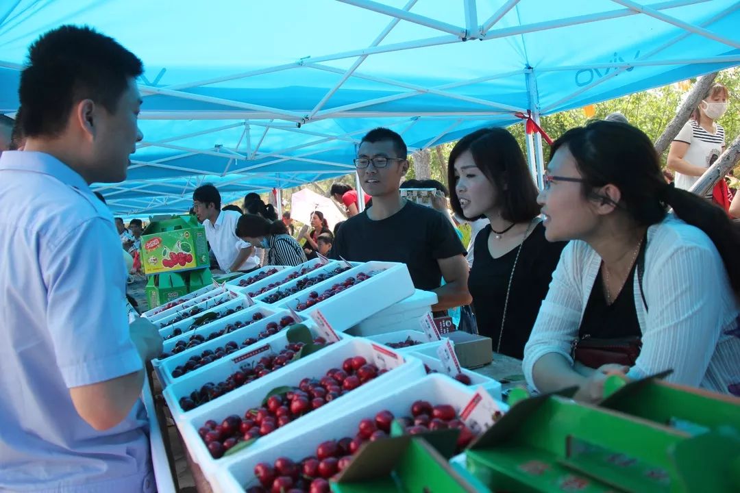 5月18日,2019临沂临港(厉家寨)樱桃文化节盛大开幕!