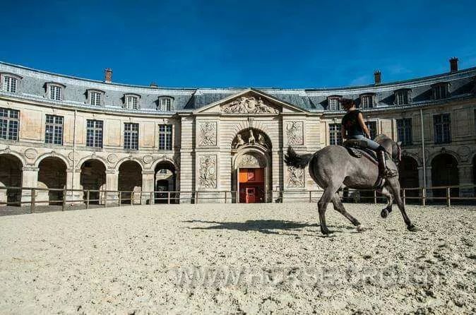 法国爱马文化艺术深度探索旅行_马术