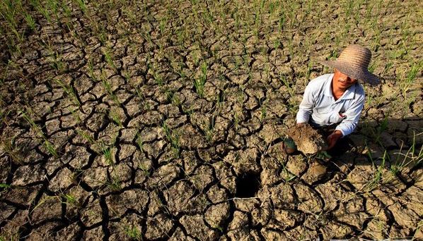 你那里干旱了吗什么是干旱