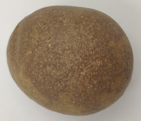 当属"羊宝"-珍稀中药材 价值连城_牛黄