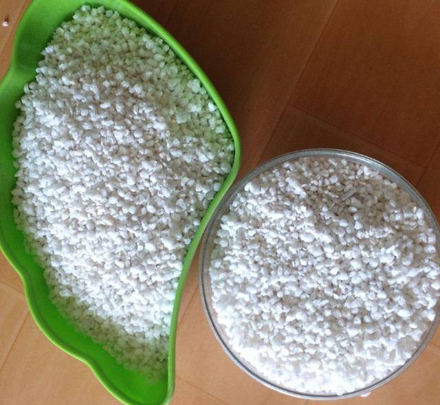 花盆中放入这5种养料会让兰花根部粗犷长势更旺盛