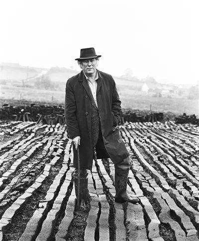 爱尔兰土地诗人谢默斯61希尼八十诞辰