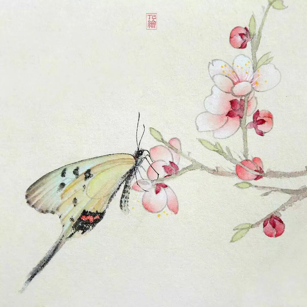 丁己没骨花卉与蝴蝶网班招生6月14日开课