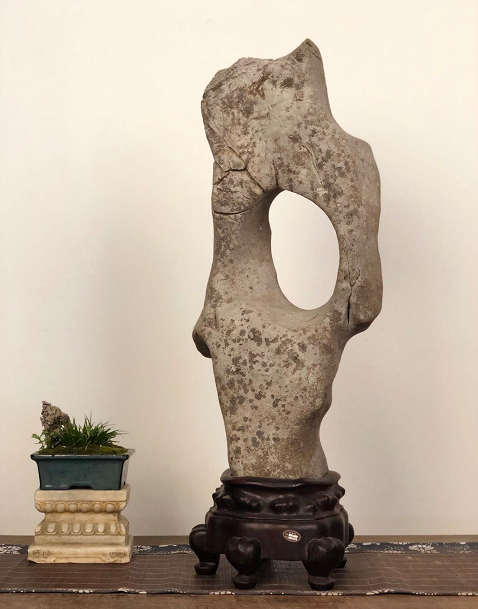 原创大自然奇石中形态与纹理给人带来不同的感受意境深远给人遐想