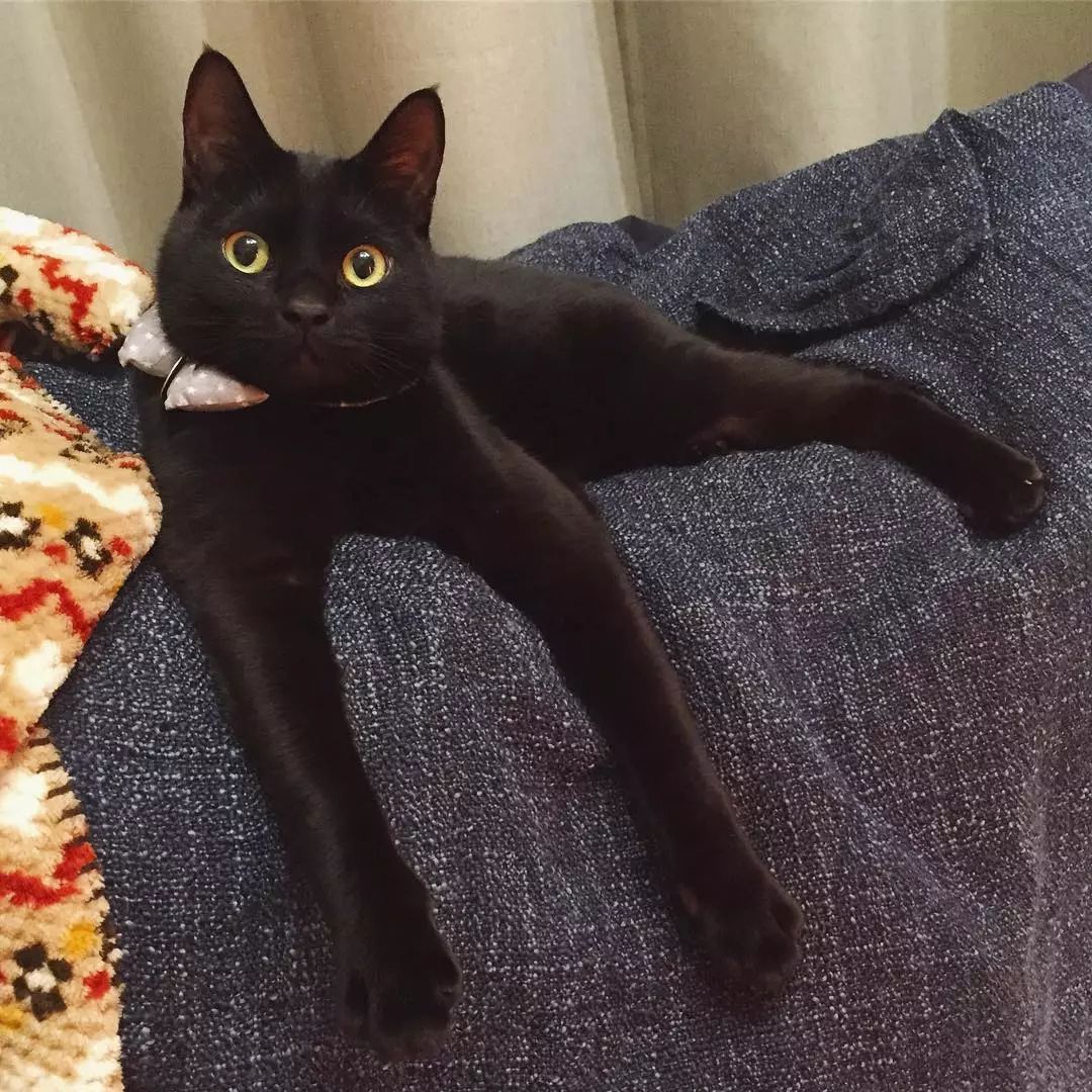 ins新晋男神又黑又胖,却让网友们大呼:我可以!_卡夫卡